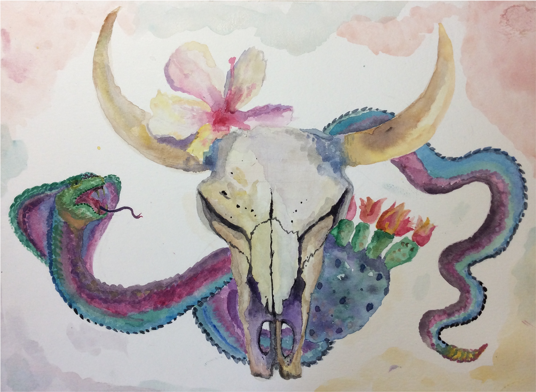 Acuarela - Invertebrate (1920x1434), Png Download