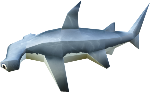 Bronze Hammerhead Shark (800x800), Png Download