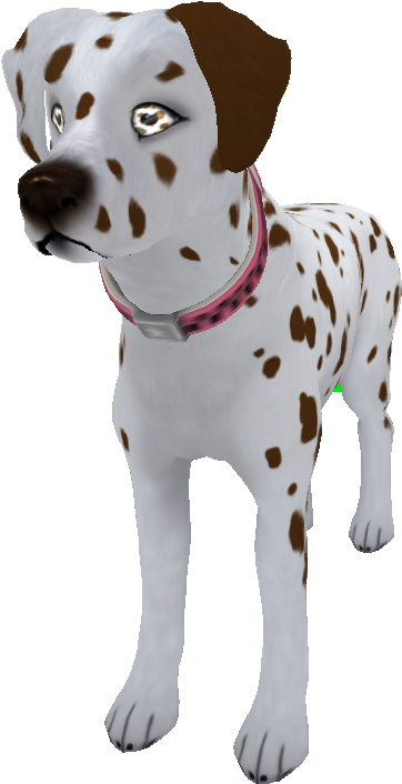 Liverwhite Dalmatian - Dalmatian (490x773), Png Download