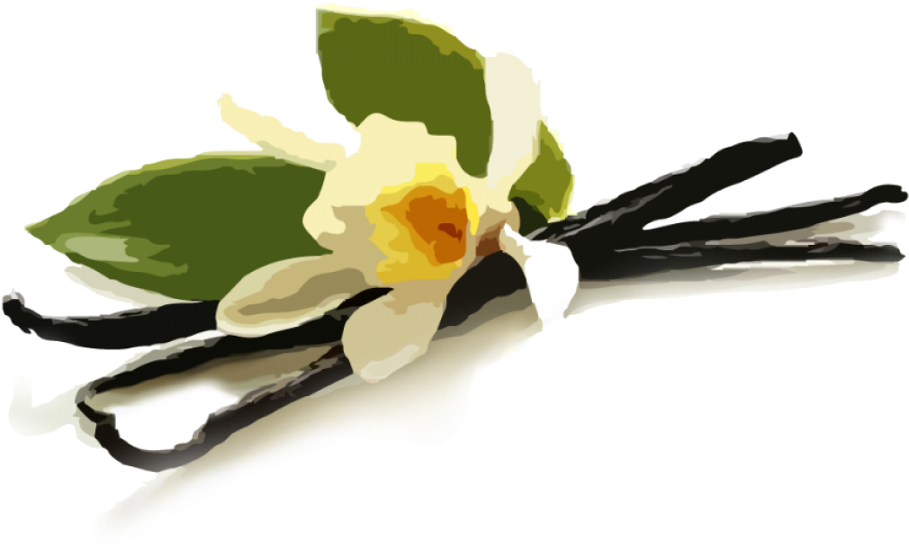 Vanilla (1200x1200), Png Download