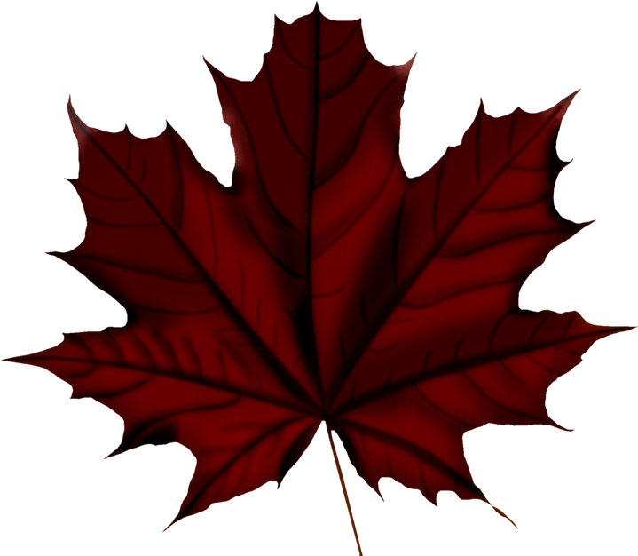 Faℓℓ ‿✿⁀○ Vintage Flowers, Autumn Leaves, Falling - Canada Day 150 Anniversary (725x635), Png Download