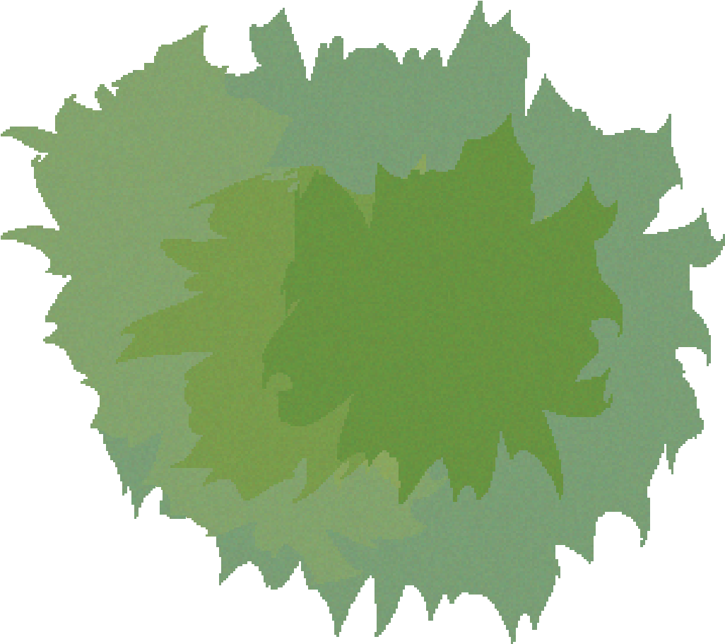 Leaf Clipart Bird - Christmas Tree (2025x1910), Png Download
