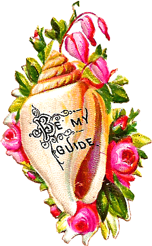 Bemyguideshellpng - Illustration (549x654), Png Download