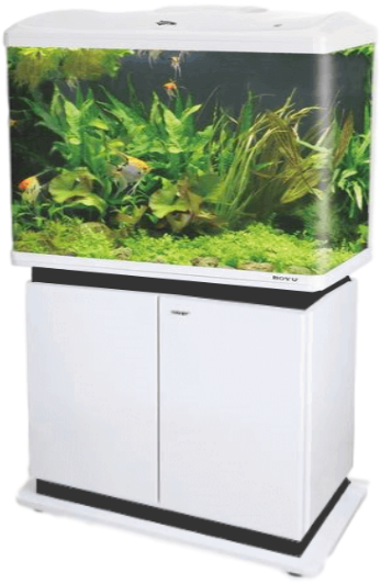 Boyu Ec-600 - Freshwater Aquarium (600x600), Png Download
