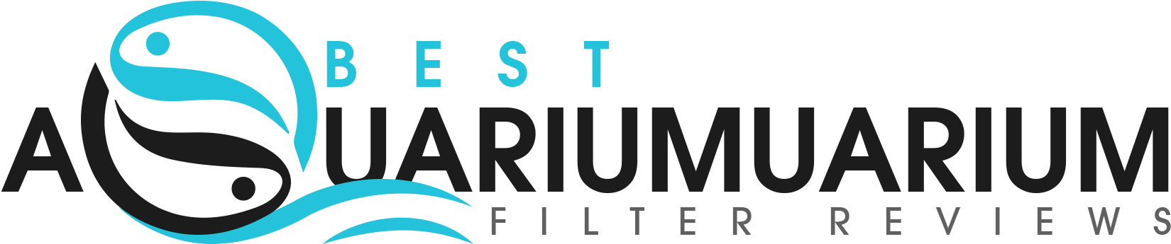 Best Aquariium Filter Reviews - Graphic Design (1910x568), Png Download