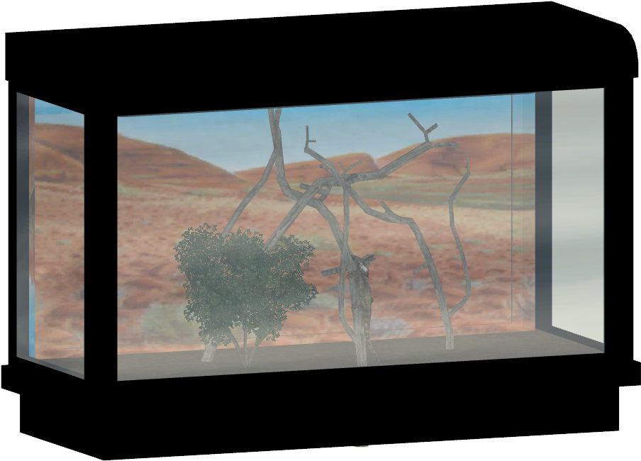 Frilled Lizard Tank - Aquarium (903x903), Png Download