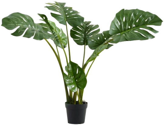 Flowerpot (600x600), Png Download