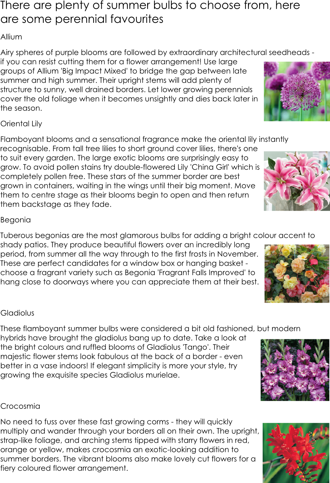 Chrysanths (1098x1614), Png Download