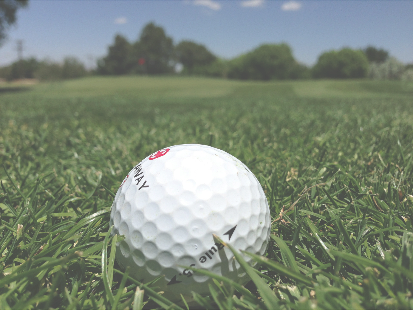 Golf Grass Png (1385x1040), Png Download