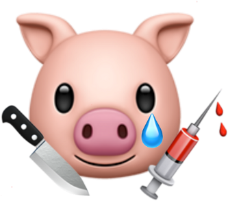 Domestic Pig (1024x1024), Png Download