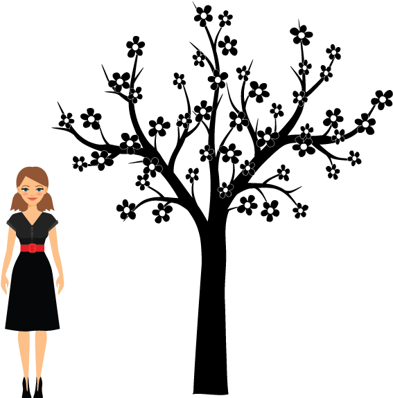 9' Flatiron Cherry Blossom Warm White - Silhouette (900x900), Png Download