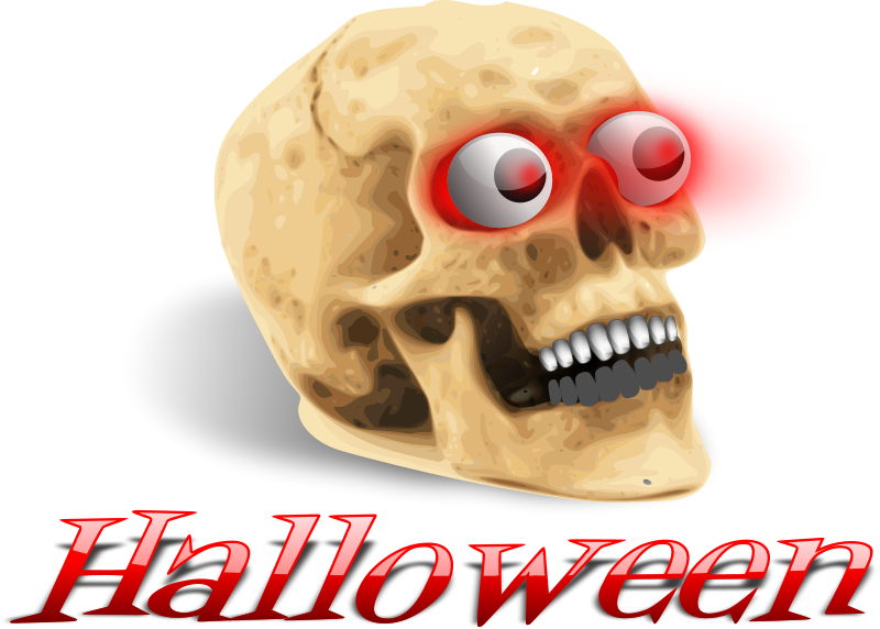 Illustration Of A Human Skull - Human Skull Clipart (800x572), Png Download