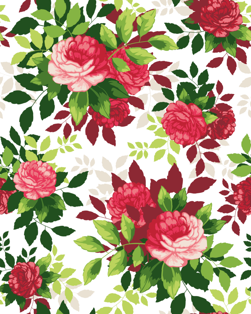 Beautiful Flower Illustration Shading Flowers Border - Transparent Transparent Png Red Flower Border (800x1000), Png Download