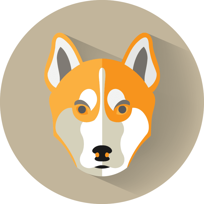 Dingo - Basenji (800x800), Png Download
