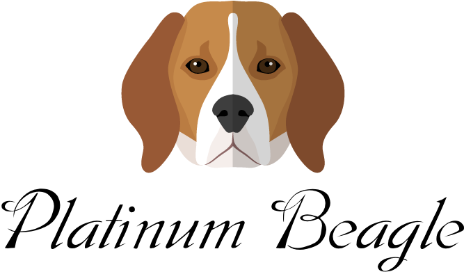 Platinum Beagle Puppies - Love My Beagle Throw Blanket (729x393), Png Download