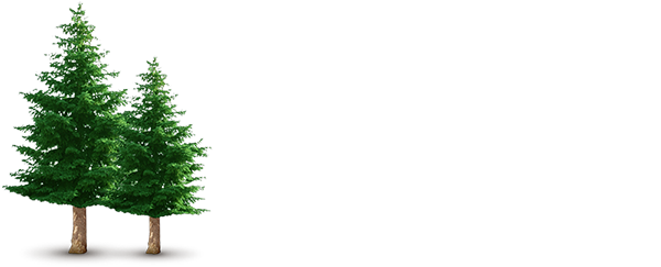 Vacation Home Renter, Inc - Spruce Pine Tree Difference (600x243), Png Download