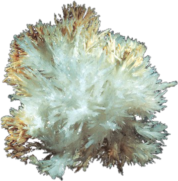 Aragonite - Marine Biology (400x378), Png Download