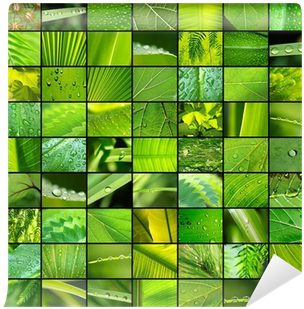 Hojas Y Texturas Wall Mural • Pixers® • We Live To - Visual Arts (400x400), Png Download