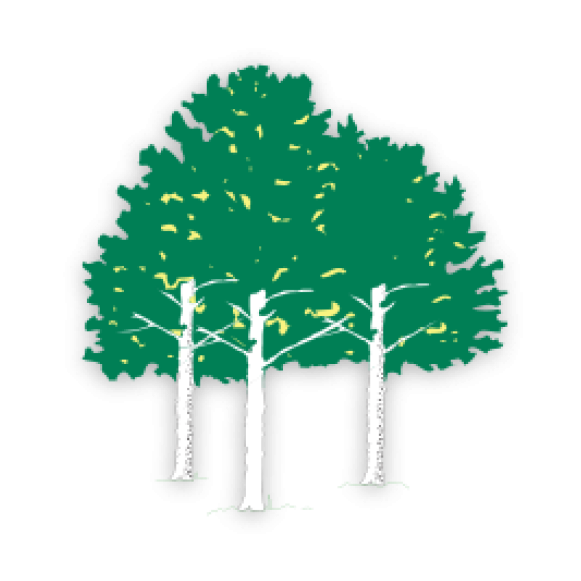 Aspen Ridge Golf Course - Golf (594x594), Png Download