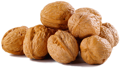 Walnut Png - Walnuts In Chile (500x250), Png Download