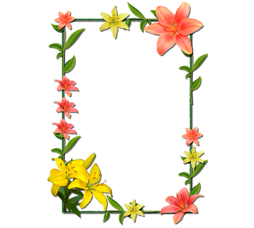 Super Molduras - Tiger Lily Hutchence 2011 (500x450), Png Download