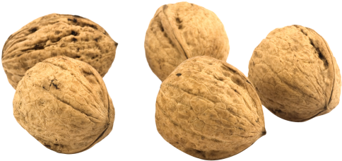 Download Walnut Png Image - Walnut Png (500x245), Png Download