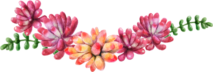 Ftestickers Watercolor Flowers Succulents Swag - Frases Frida Kahlo Portugues (704x240), Png Download
