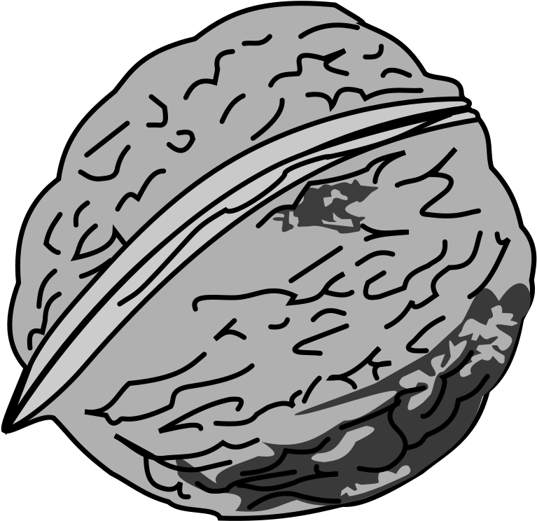 Free Clipart - Walnut - Black And White Picture Of Walnut (800x779), Png Download