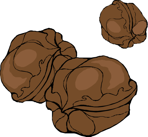 Small - Walnuts Clipart (594x552), Png Download