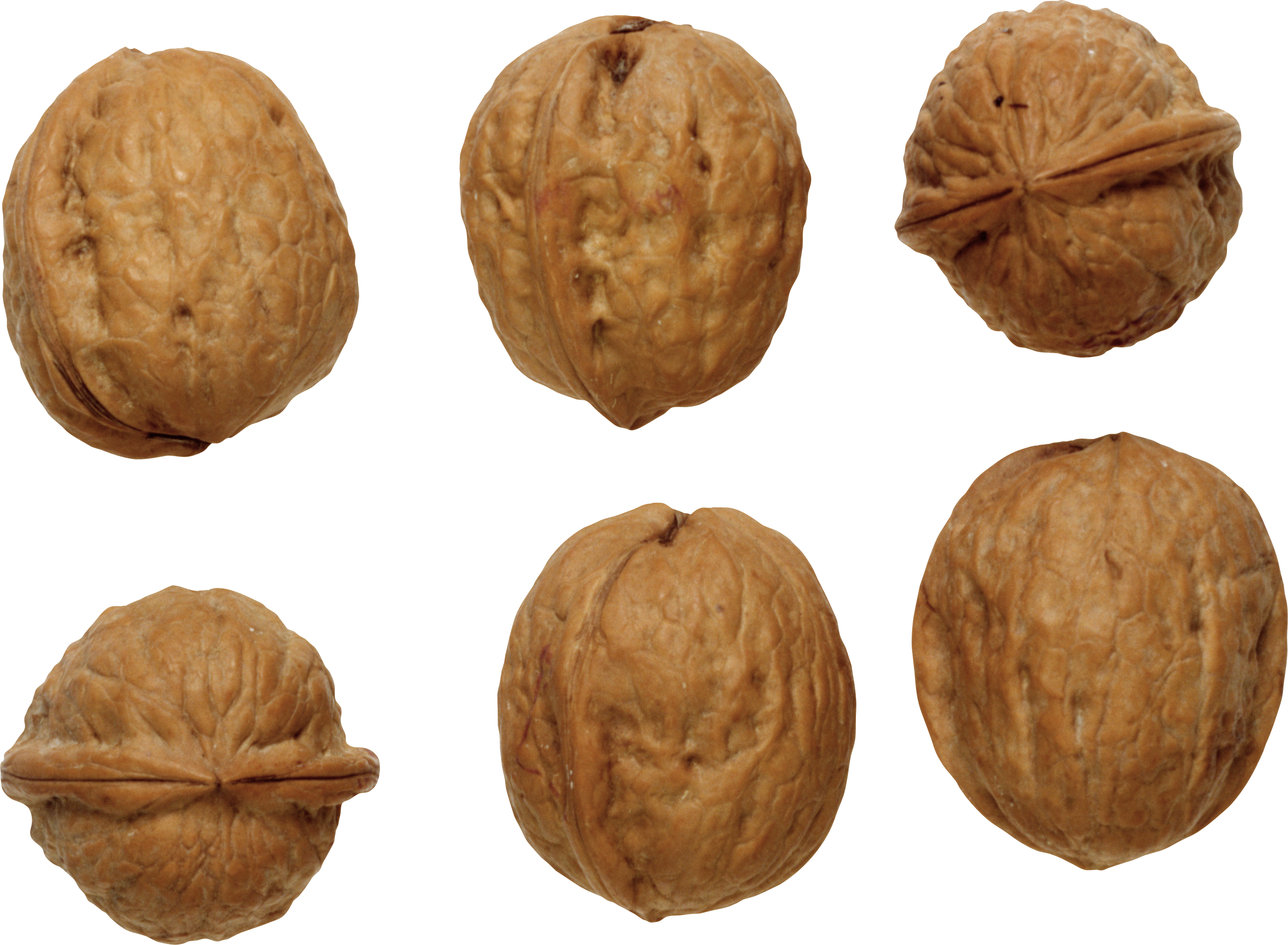 Орехи Грецкие Клипарт (1395x1024), Png Download