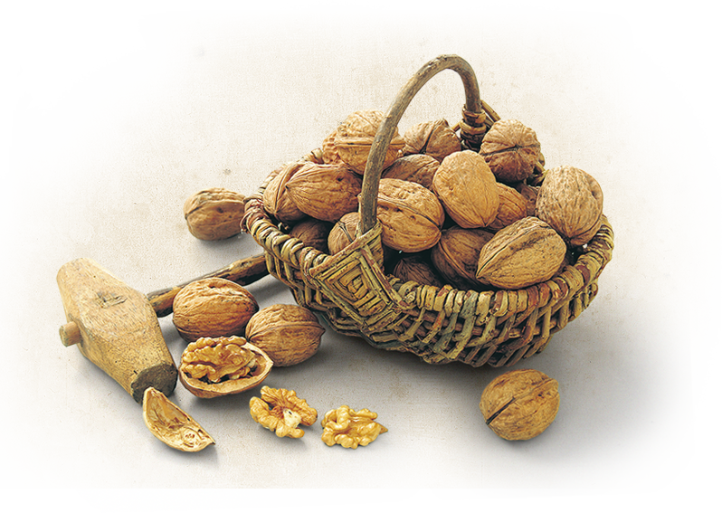The "organic Haute Culture" For Walnuts (798x567), Png Download