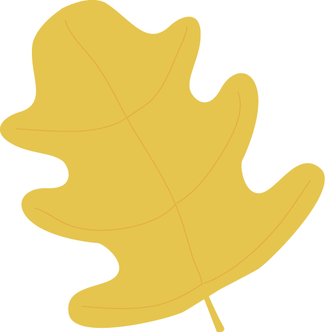 Yellow Oak Autumn Leaf - Yellow Fall Leaves Clipart (469x478), Png Download