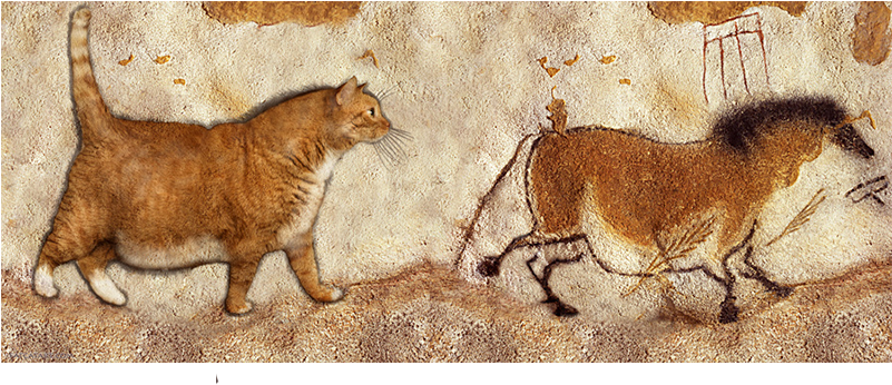 Fat Cat And Fat Horse - Cafepress Lascaux Horse Painting Framed Tile (800x587), Png Download