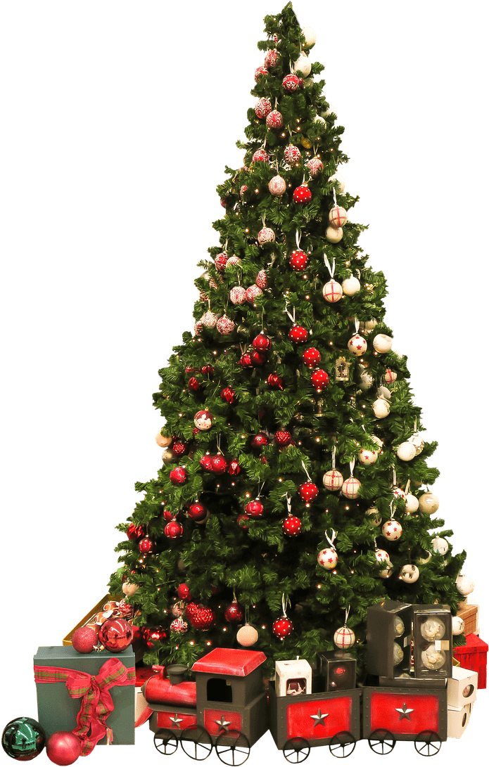 Christmas Tree And Gifts - Christmas Tree And Gift Transparent (988x1280), Png Download