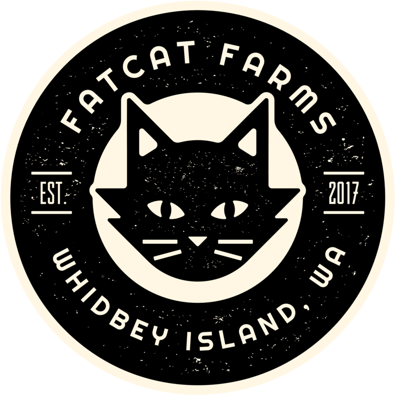 Fatcat3 (1000x1000), Png Download