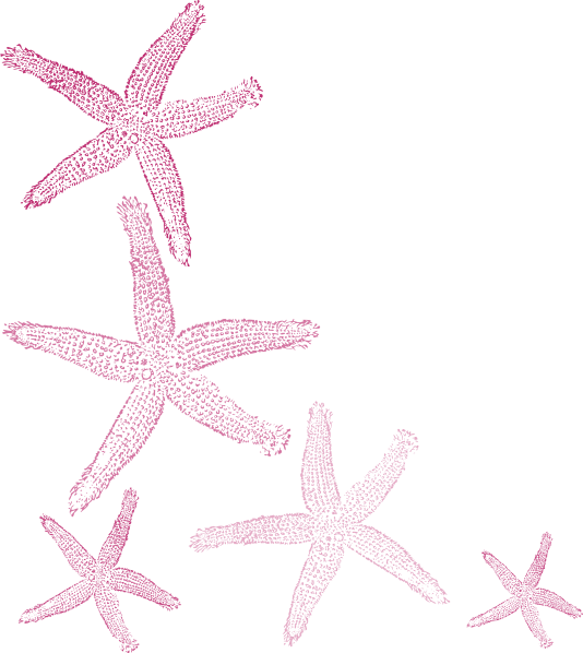 Small - Fish Clip Art (534x598), Png Download