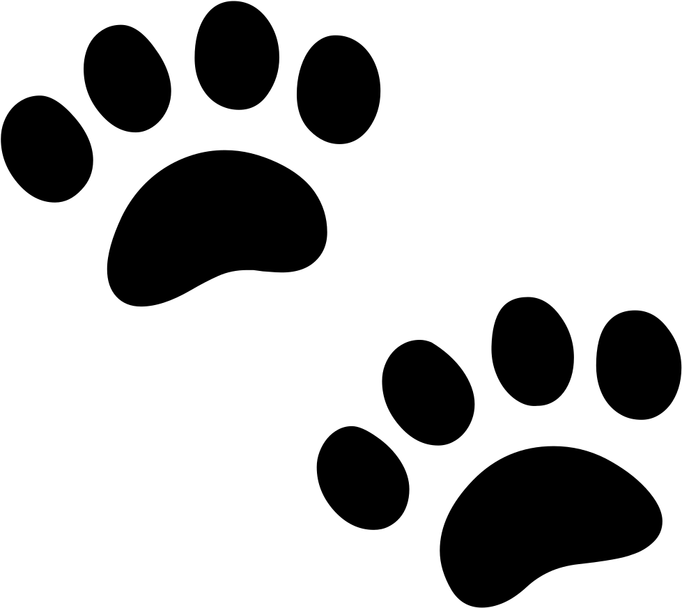Android Emoji 1f43e - Icon (1170x1024), Png Download