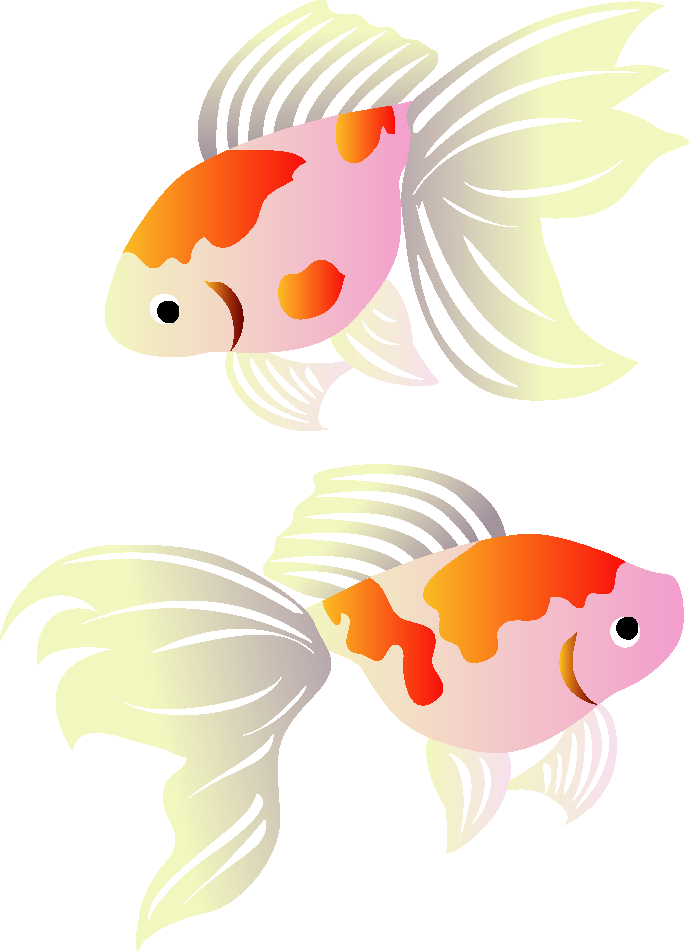 Koi Greeting Illustration Cards Goldfish Post (689x951), Png Download