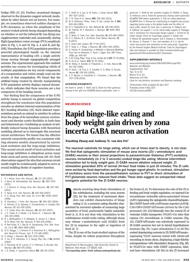 Back Issues - Folio Twenty From Burchard Of Sion's De Locis Ac Mirabilibus (729x929), Png Download