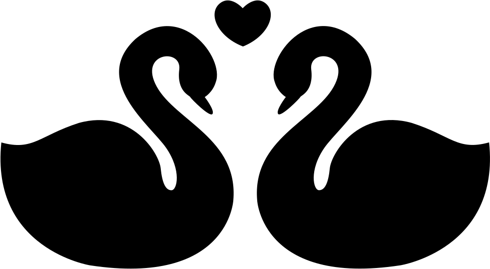 Swans Couple Fidelity Symbol Of Love Comments - Desenho De Pato Preto E Branco (981x538), Png Download