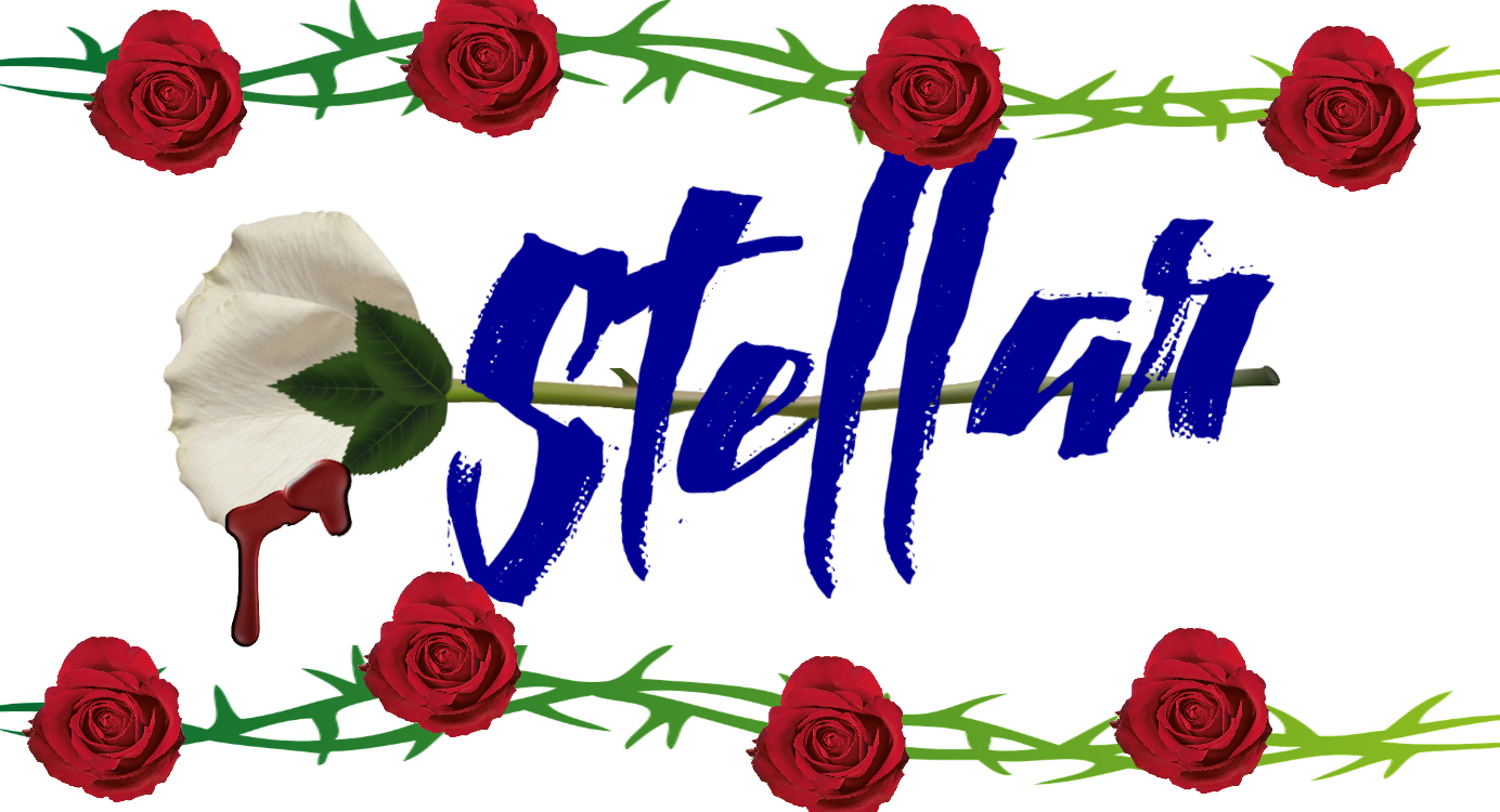 About - Red Rose Top View (1384x750), Png Download