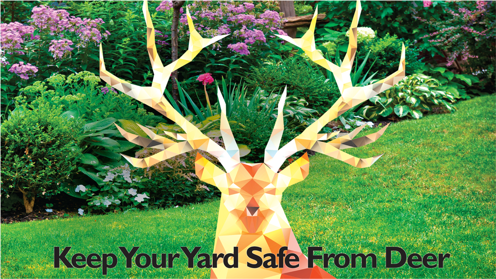 Grass (1000x700), Png Download