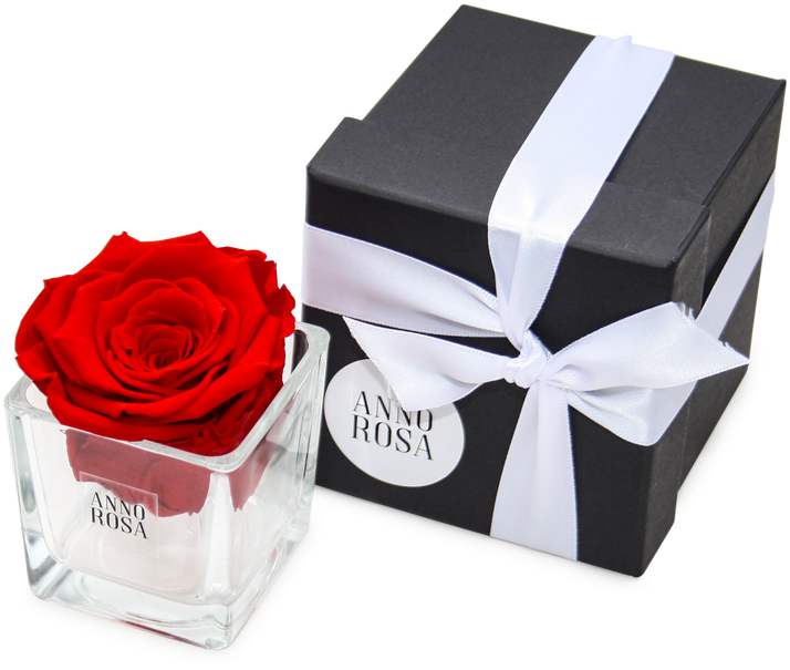 Valentines Day Gift Idea, Valentines Day Gift Idea, - Garden Roses (2048x840), Png Download